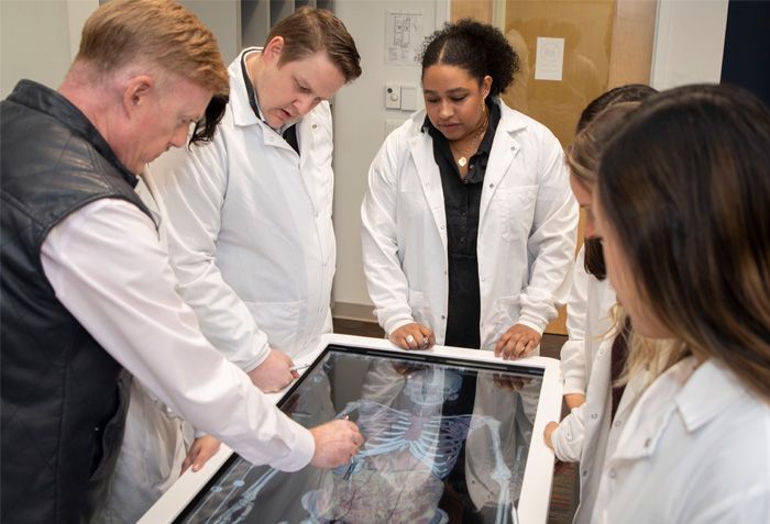 students and professor examining anatomy on digital board