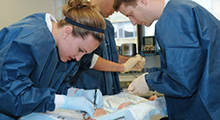 Physician Assistant Students practicing clinical exercises.